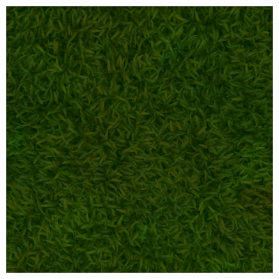 Grass Texture